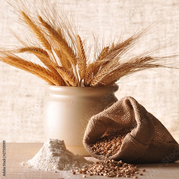 Obraz Zboże i mąka