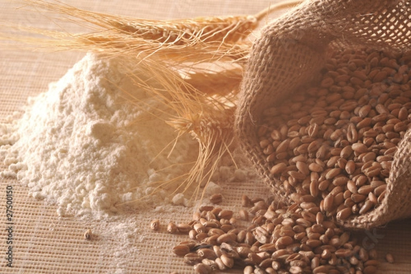 Obraz Zboże i mąka