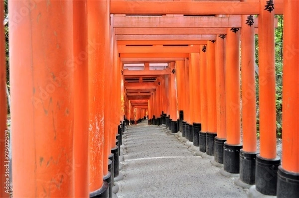 Fototapeta 千本鳥居　伏見稲荷大社　京都