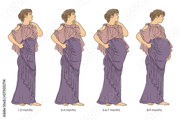 Obraz A pregnant woman.Pregnant woman from first to ninth month in a tunic is standing. Vector image isolated on white background.