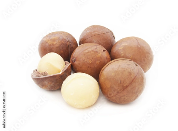 Fototapeta Macadamia nuts isolated on white