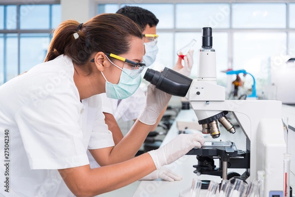 Fototapeta Serious clinician studying chemical element on tester
