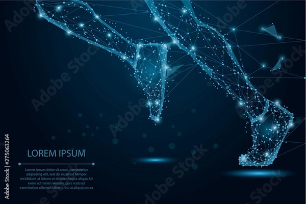 Obraz Abstract polygonal Running legs from lines, triangles and particle. Low poly wireframe vector illustration.