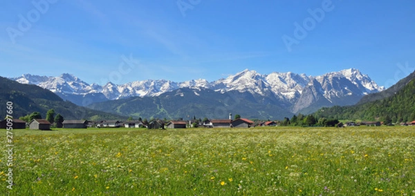 Obraz Frühlingswiese vor Wettersteingebirge, Garmisch-Partenkirchen