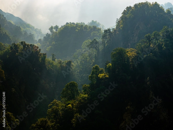 Obraz Jungle View on Hazy Light, Ridges and Layers of Forest Backlit