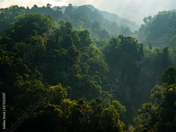 Obraz Jungle View on Hazy Light, Ridges and Layers of Forest Backlit