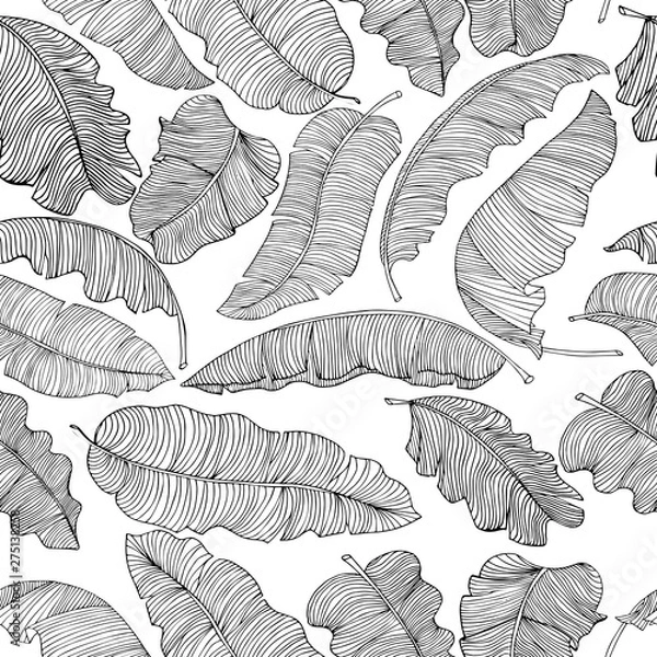 Fototapeta Seamless pattern of exotic, white banana leaves with a black outlines isolated on a transparent background.