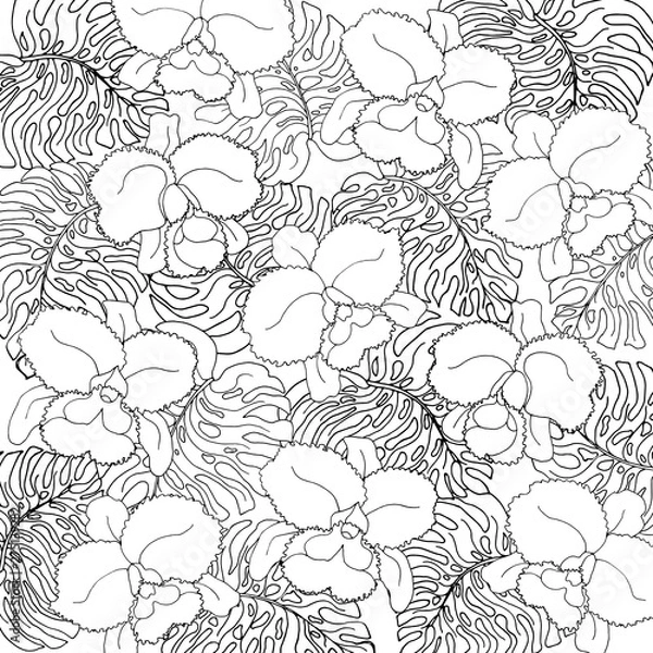 Fototapeta Seamless pattern of exotic white monstera leaves and orchids with black outline.