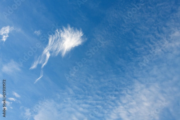 Obraz clouds in the sky