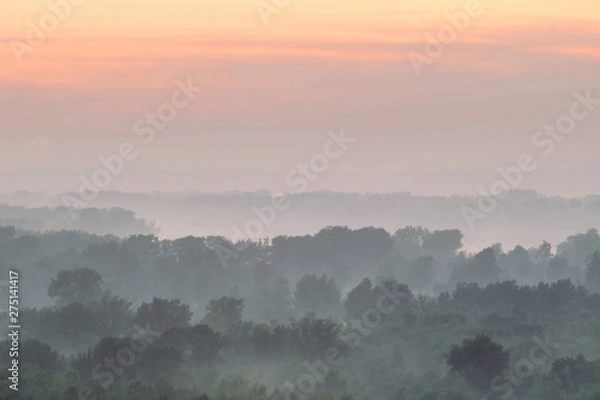 Fototapeta Mystical view from top on forest under haze at early morning. Eerie mist among layers from tree silhouettes in taiga under predawn sky. Morning atmospheric minimalistic landscape of majestic nature.