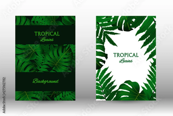 Fototapeta A set of tropic