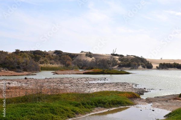 Obraz Maspalomas lagoon and dune Maspalomas