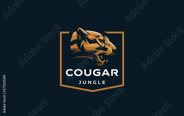 Fototapeta The image of a cougar or panther.