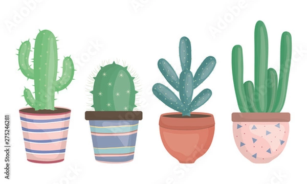 Obraz set of exotic cactus plants in ceramic pots
