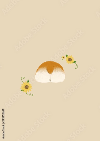 Fototapeta Corgi phone wallpaper