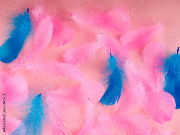 Fototapeta Selective soft focus close up pink feathers texture in pastel color