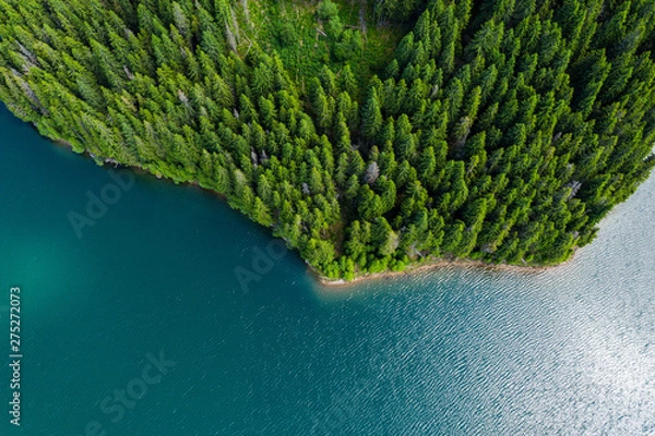 Fototapeta Aerial view of a forest lake. Aerial view of blue lake and green forests on a sunny summer day. Drone photography. Forest and lake border, Toned image from above. Coastline view from the drone.