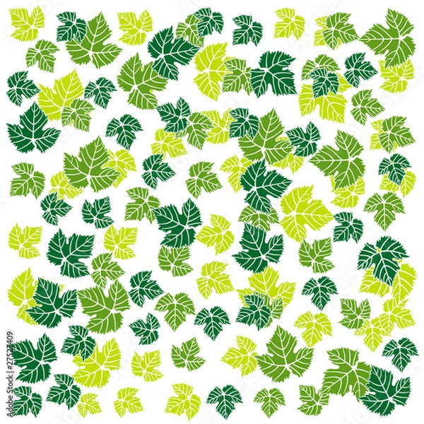 Obraz leaf