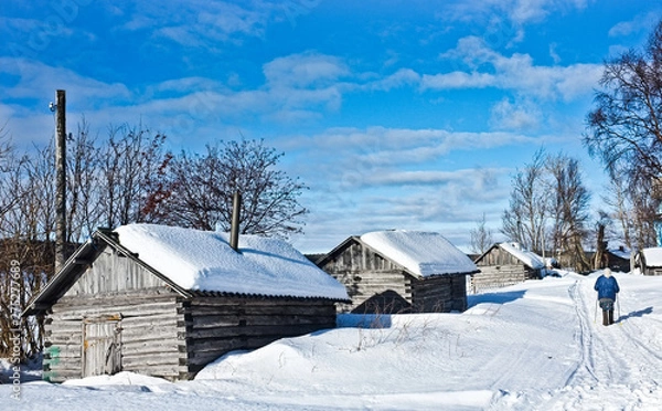 Obraz Nearly abandoned traditional fishers settlement on Kola Peninsula; old woman in blue jacket with trekking poles in hands passing by three grey wooden houses with roofs, covered with snow
