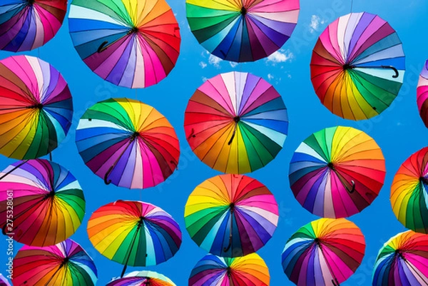 Fototapeta Many colorful umbrellas. Rainbow gay pride protection