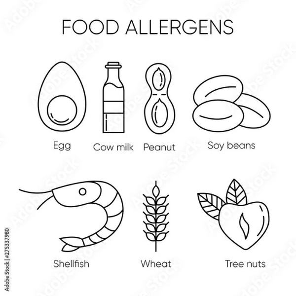 Obraz Common food allergens – set of vector linear icons with egg, cow milk, peanut, soy beans, shellfish, wheat and tree nuts.