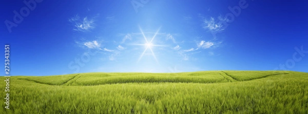 Fototapeta   Sun over the green meadow. Panoramic image of a meadow under a blue sky