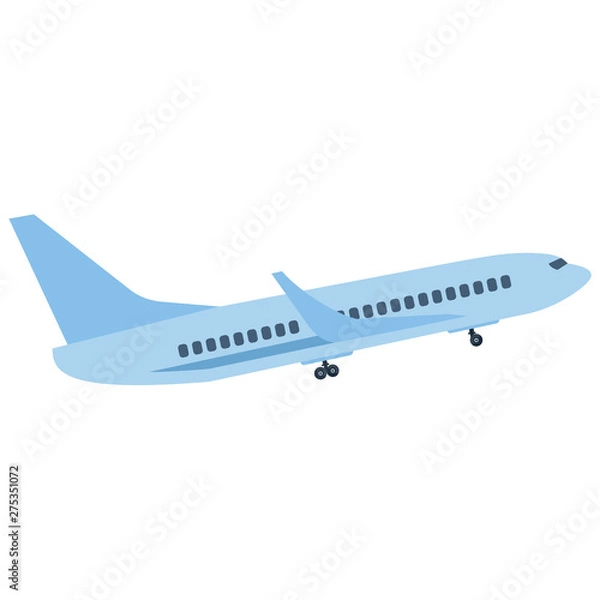 Obraz The plane takes off