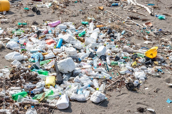 Obraz 砂浜への漂着物