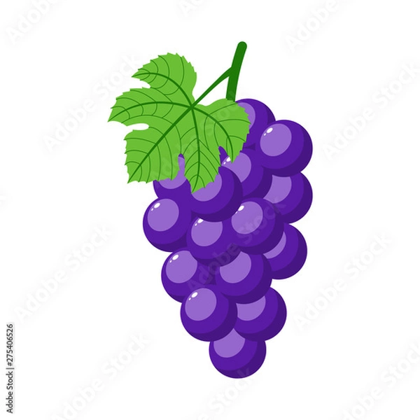 Obraz Purple grapes isolated on white background. Bunch of purple grapes with stem and leaf. Cartoon style. Vector illustration for any design.
