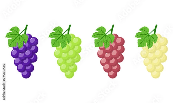 Obraz Set of different grapes isolated on white background. Bunch of purple, green, red, white grapes with stem and leaf. Cartoon style. Vector illustration for any design.