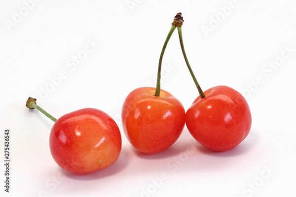 Obraz さくらんぼ