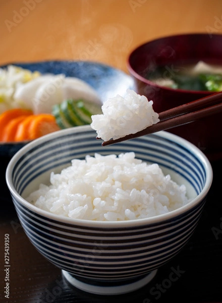 Obraz ごはん