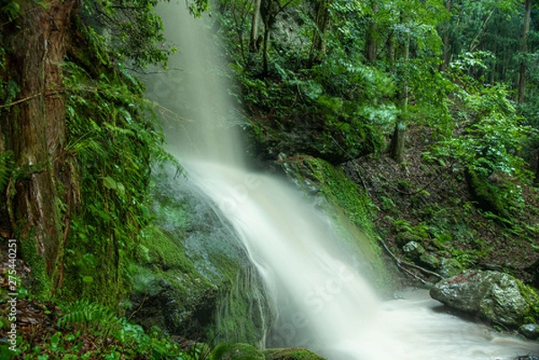 Fototapeta 兵庫県・滝裏からみる一条の飛瀑、滝壺　吉滝