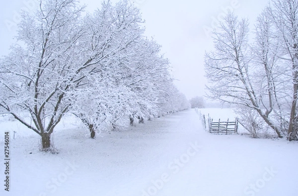 Obraz chemin de neige