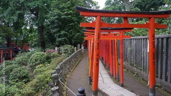 Fototapeta 根津神社