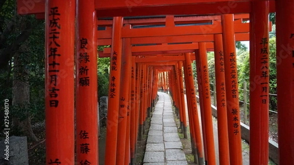Fototapeta 根津神社