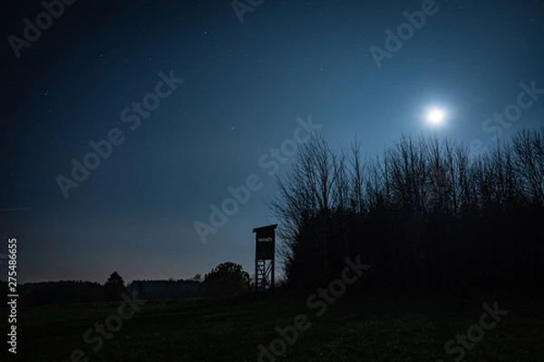 Obraz Hunter stand in Moonlight at night