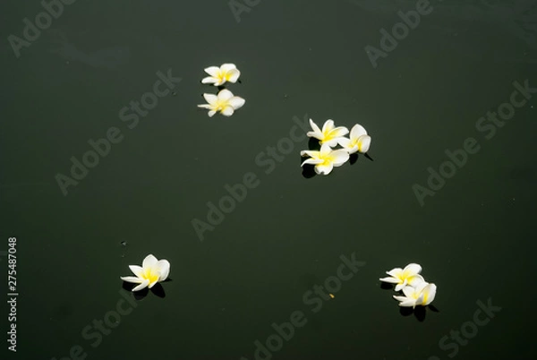 Obraz Viet Nam travel