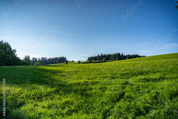 Obraz Bavarian rural landscape  in Summer