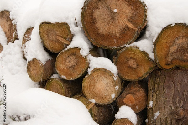 Obraz Holzstapel im Winter