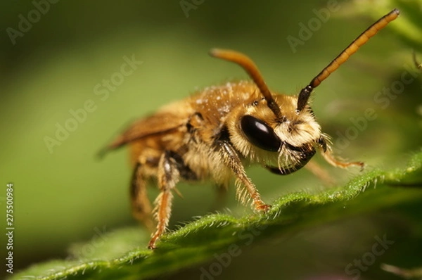 Obraz Подготовка к полёту