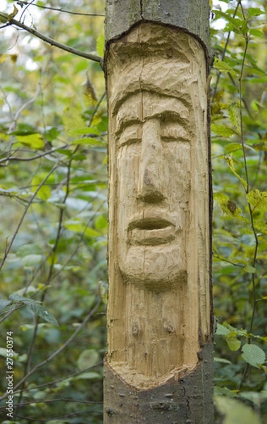 Obraz tête sculptée