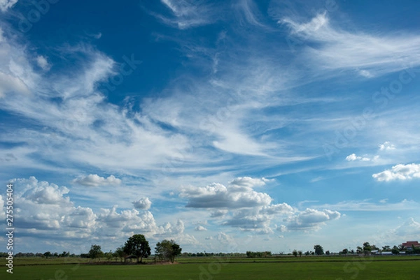 Fototapeta Blue sky background with green fields and white clouds.