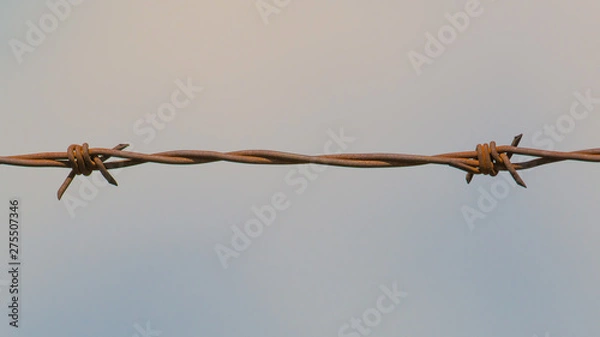 Obraz barbed wire on a background