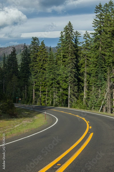 Obraz Road in Washington state forest