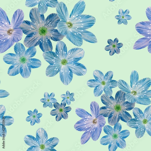 Fototapeta Decorative ornament. Seamless watercolor pattern. Flowers for design. Hand-drawn botanical pattern. art flowers
