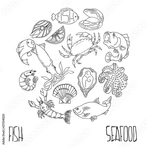 Fototapeta Set of hand drawn seafood, Healthy food drawings set elements for menu design. Vector illustration