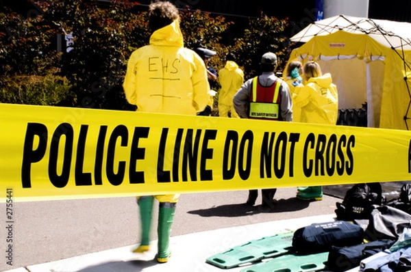 Obraz policja line-ehs