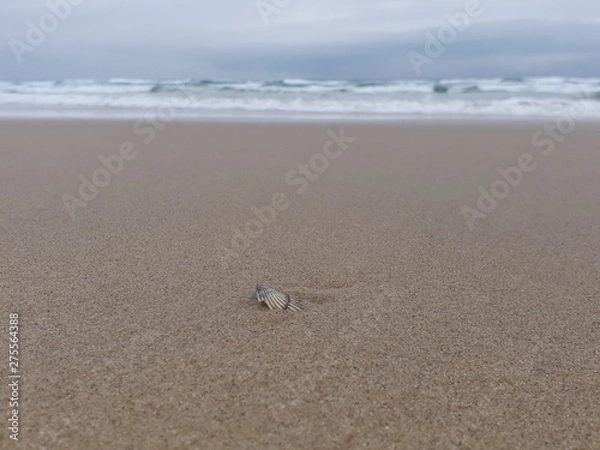 Fototapeta Coolum Beachfront sand and waves 