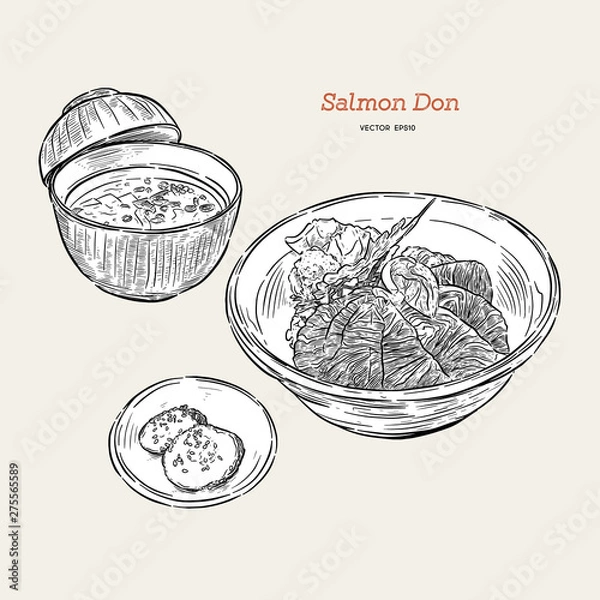Fototapeta salmon donburi set, hand draw sketch vector.
